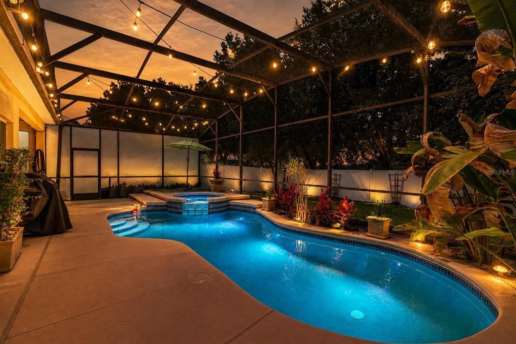 A backyard swimming pool and hot tub are enclosed by a screened lanai with string lights — 13842 ORANGE CREST DRIVE, WINDERMERE, FL