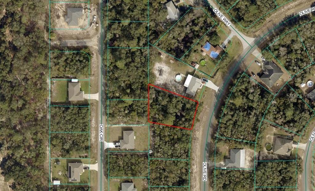 This aerial map shows a vacant, wooded residential lot outlined in red — OLIVE ROAD, OCALA, FL