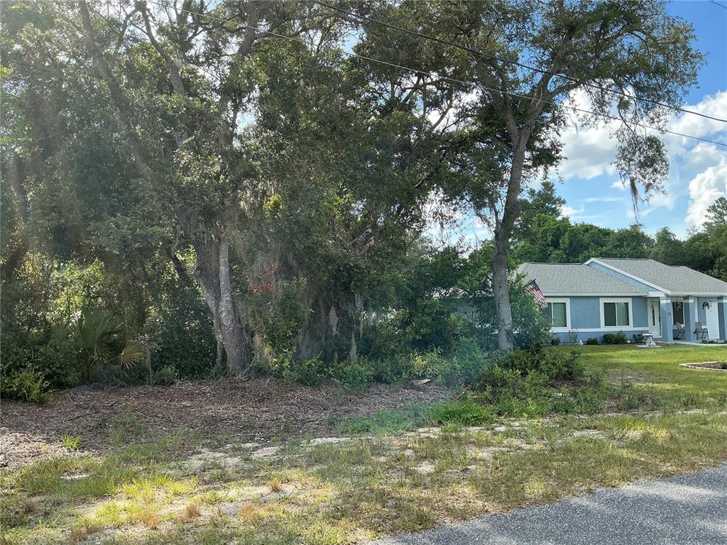 A vacant, tree-covered lot sits next to a single-story blue house with a gray roof — OLIVE ROAD, OCALA, FL