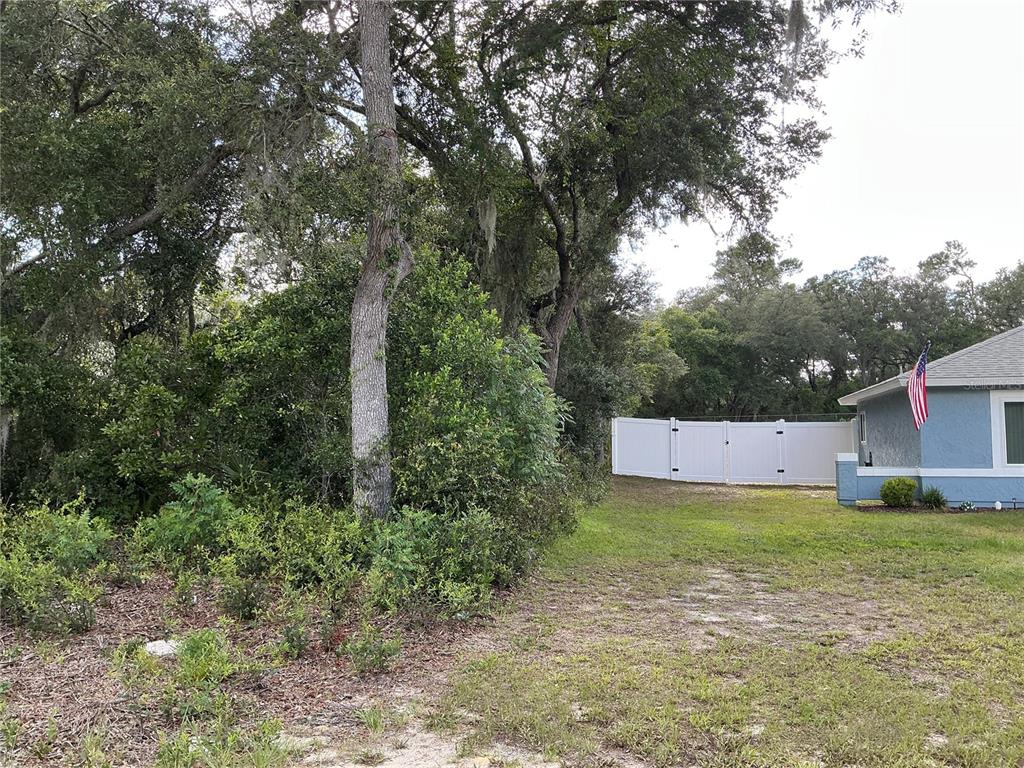 A grassy lot sits next to a blue house with a white privacy fence — OLIVE ROAD, OCALA, FL