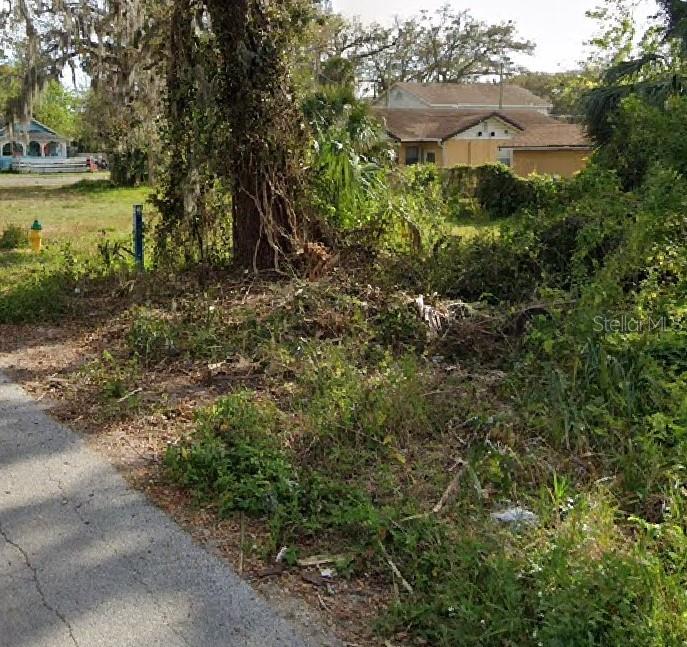 A vacant, overgrown lot with a large tree and a house in the background — 00 DIVISION STREET, DAYTONA BEACH, FL