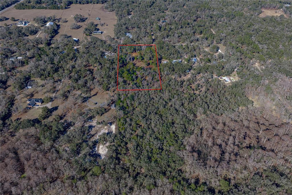 An aerial view shows a rectangular plot of land outlined in red amidst wooded terrain — 0 ROWNTREE DRIVE, DADE CITY, FL