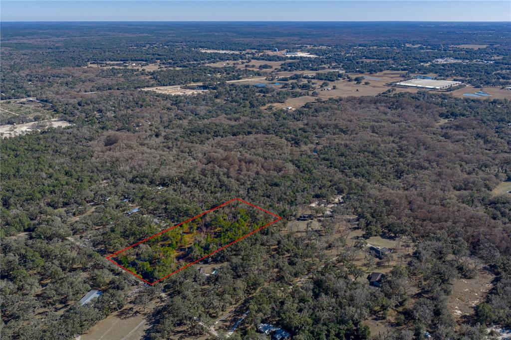 An aerial view shows a rectangular plot of land outlined in red amidst wooded terrain — 0 ROWNTREE DRIVE, DADE CITY, FL