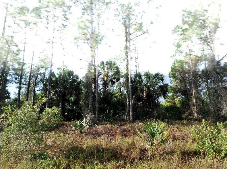 BLUELEAF DRIVE, NORTH PORT, FL — photo 2 of 5