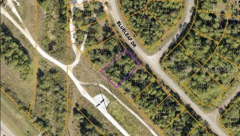 BLUELEAF DRIVE, NORTH PORT, FL — photo 4 of 5