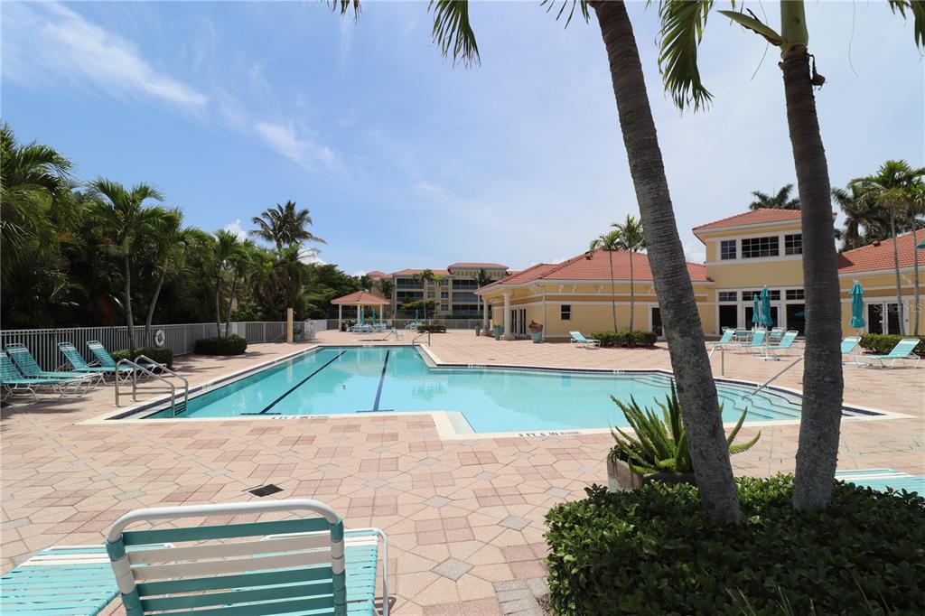 A rectangular swimming pool with lounge chairs on a paved deck surrounded by palm trees — 255 W END DRIVE UNIT 2210, PUNTA GORDA, FL