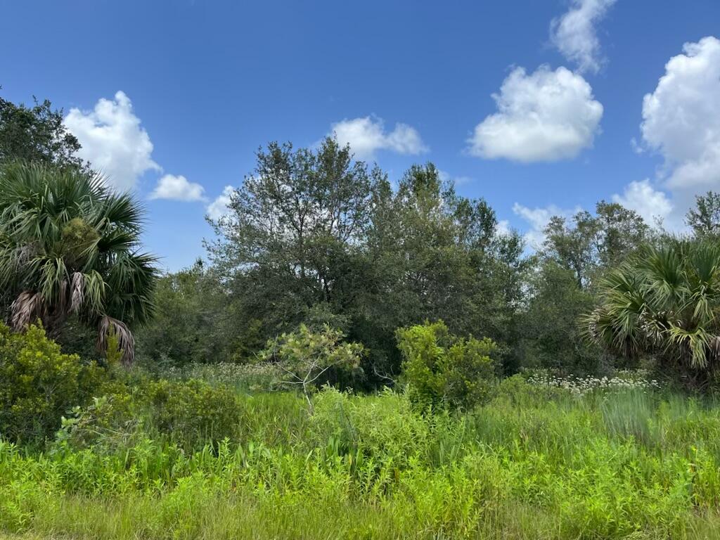 A view of a grassy field with scattered shrubs and trees under a blue sky — 17915 NW 290th Street, Okeechobee FL 34972, OKEECHOBEE, FL