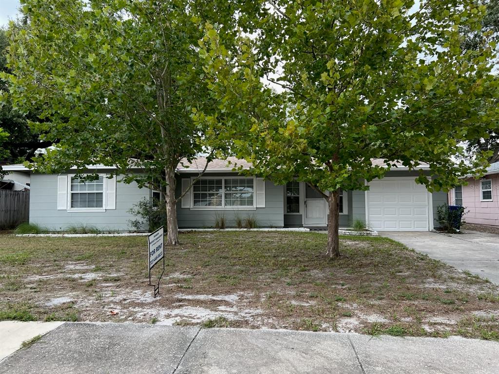 A single-story house with gray siding, a white garage door, and two large trees in front — 818 SCOTLAND STREET, DUNEDIN, FL