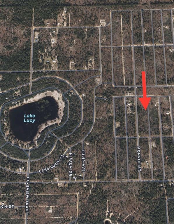 Lots 39-44 17TH STREET, INTERLACHEN, FL — photo 5 of 11