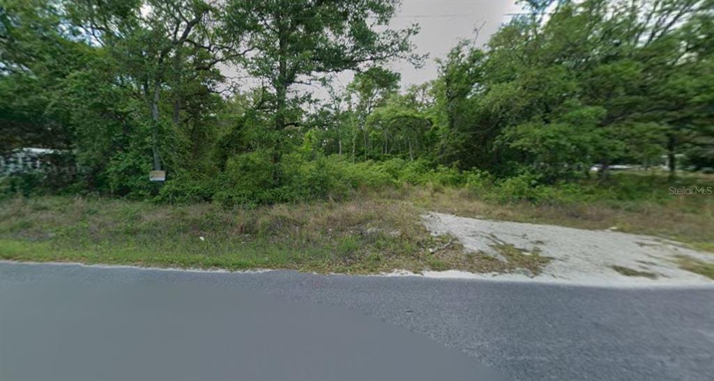 A vacant, wooded lot with a small gravel driveway area along a paved road — 413 NE 808TH STREET, OLD TOWN, FL
