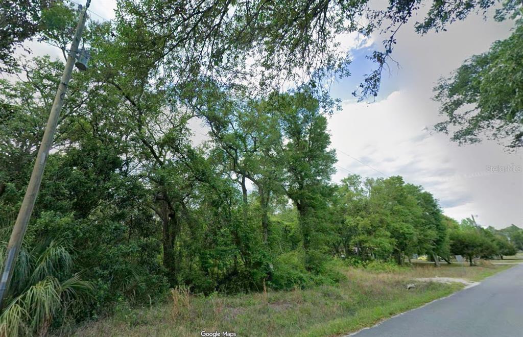 A view of a wooded, undeveloped lot along a paved road — 413 NE 808TH STREET, OLD TOWN, FL