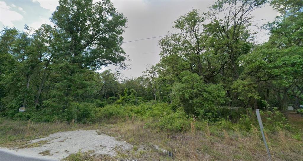 A wooded, undeveloped plot of land sits behind a gravel driveway along a paved road — 413 NE 808TH STREET, OLD TOWN, FL