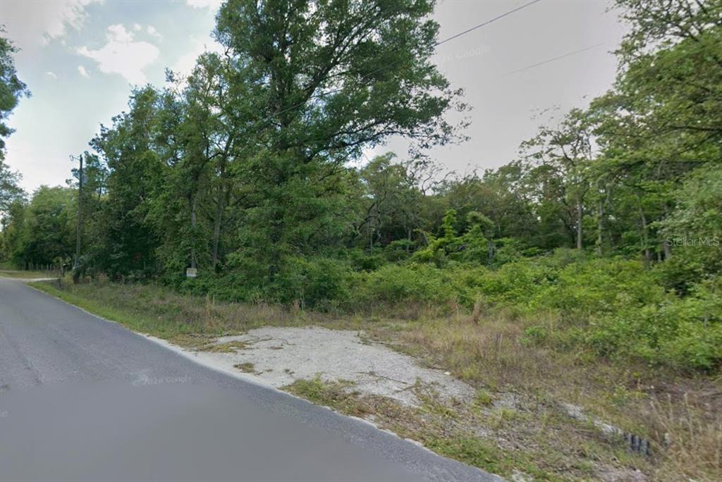A gravel driveway leads to a wooded, undeveloped lot along a paved road — 413 NE 808TH STREET, OLD TOWN, FL