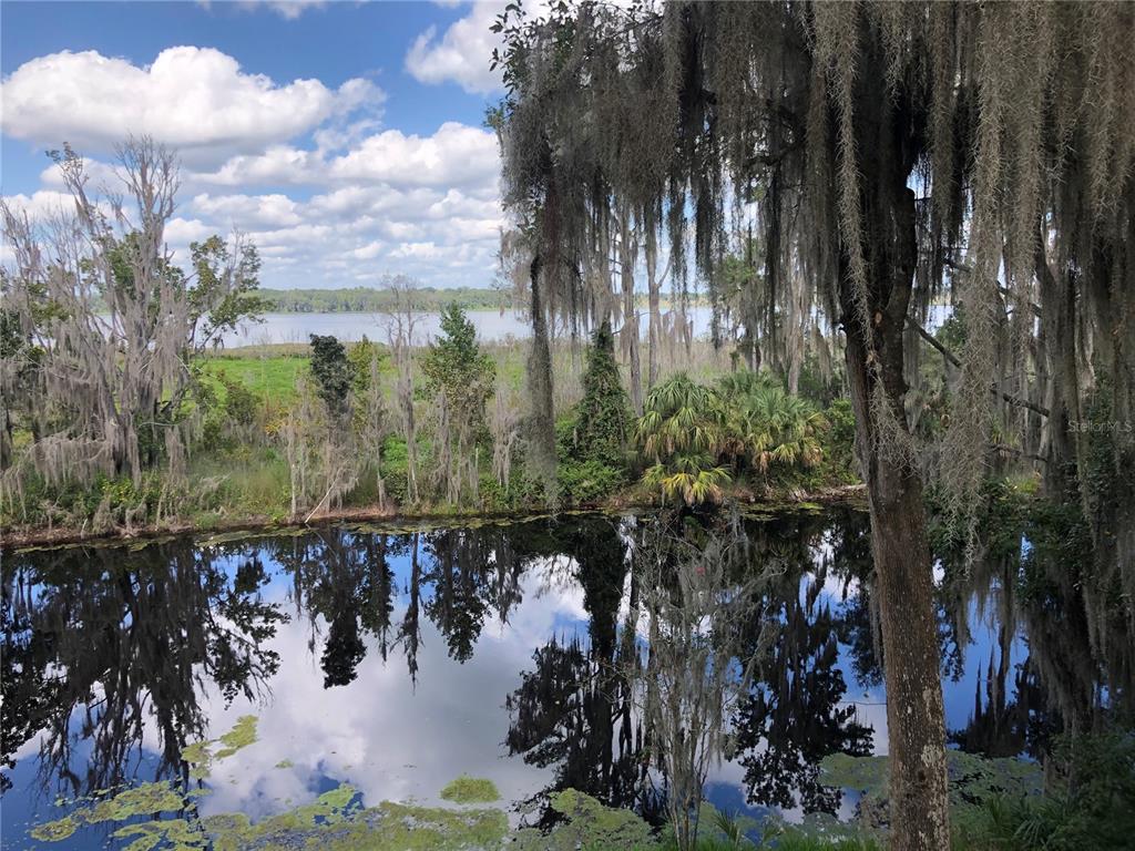A view of a lake and marshland framed by trees draped in Spanish moss — 216 LITTLE ORANGE LAKE DRIVE, HAWTHORNE, FL