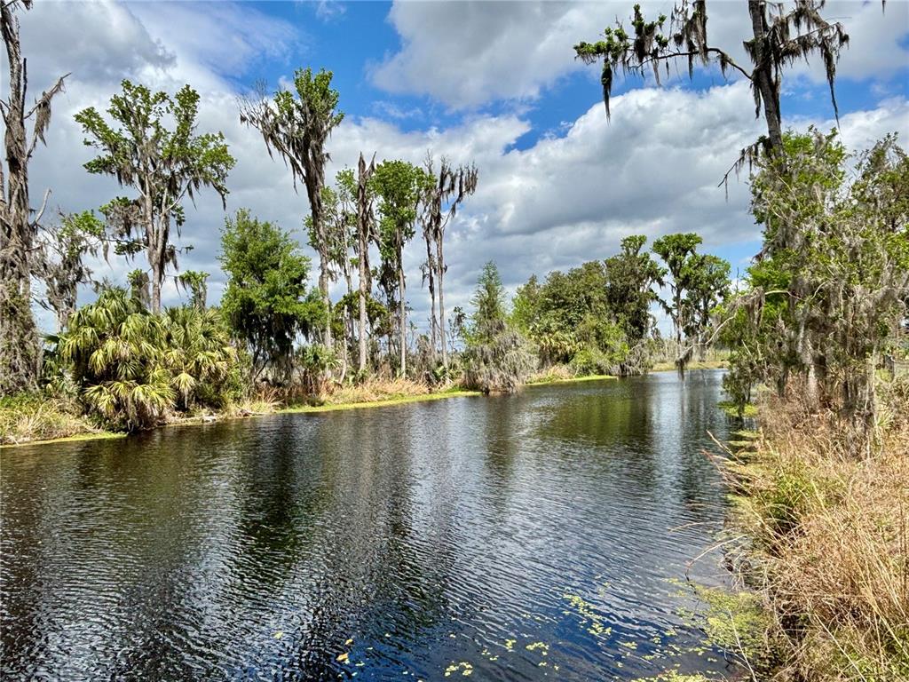 A narrow canal flows through a lush, wooded landscape with tall trees draped in Spanish moss — 216 LITTLE ORANGE LAKE DRIVE, HAWTHORNE, FL