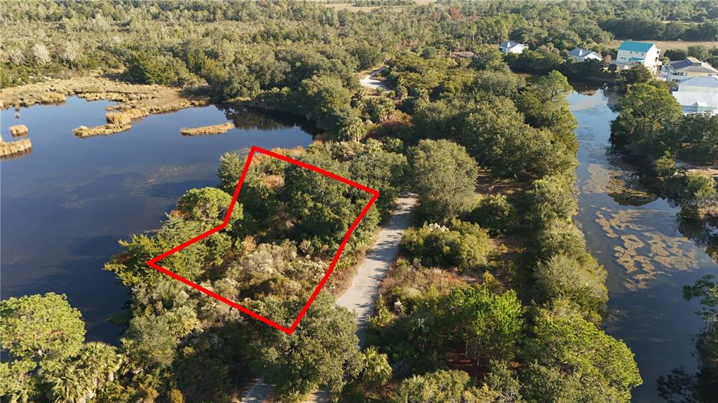 An aerial view shows a wooded, undeveloped lot outlined in red between two bodies of water — LAKE VIEW CT, CRAWFORDVILLE, FL