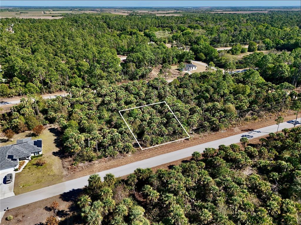 An aerial view shows a rectangular plot of land outlined in white beside a road — 131 NAVARRA AVENUE S, LEHIGH ACRES, FL