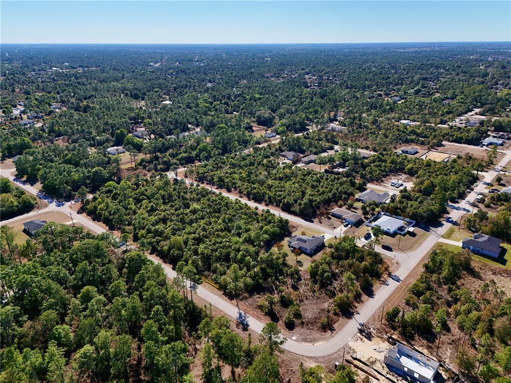 Aerial view of a residential neighborhood with scattered houses surrounded by dense forest — 131 NAVARRA AVENUE S, LEHIGH ACRES, FL
