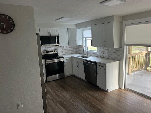5026 MOOG ROAD, HOLIDAY, FL — photo 4 of 24
