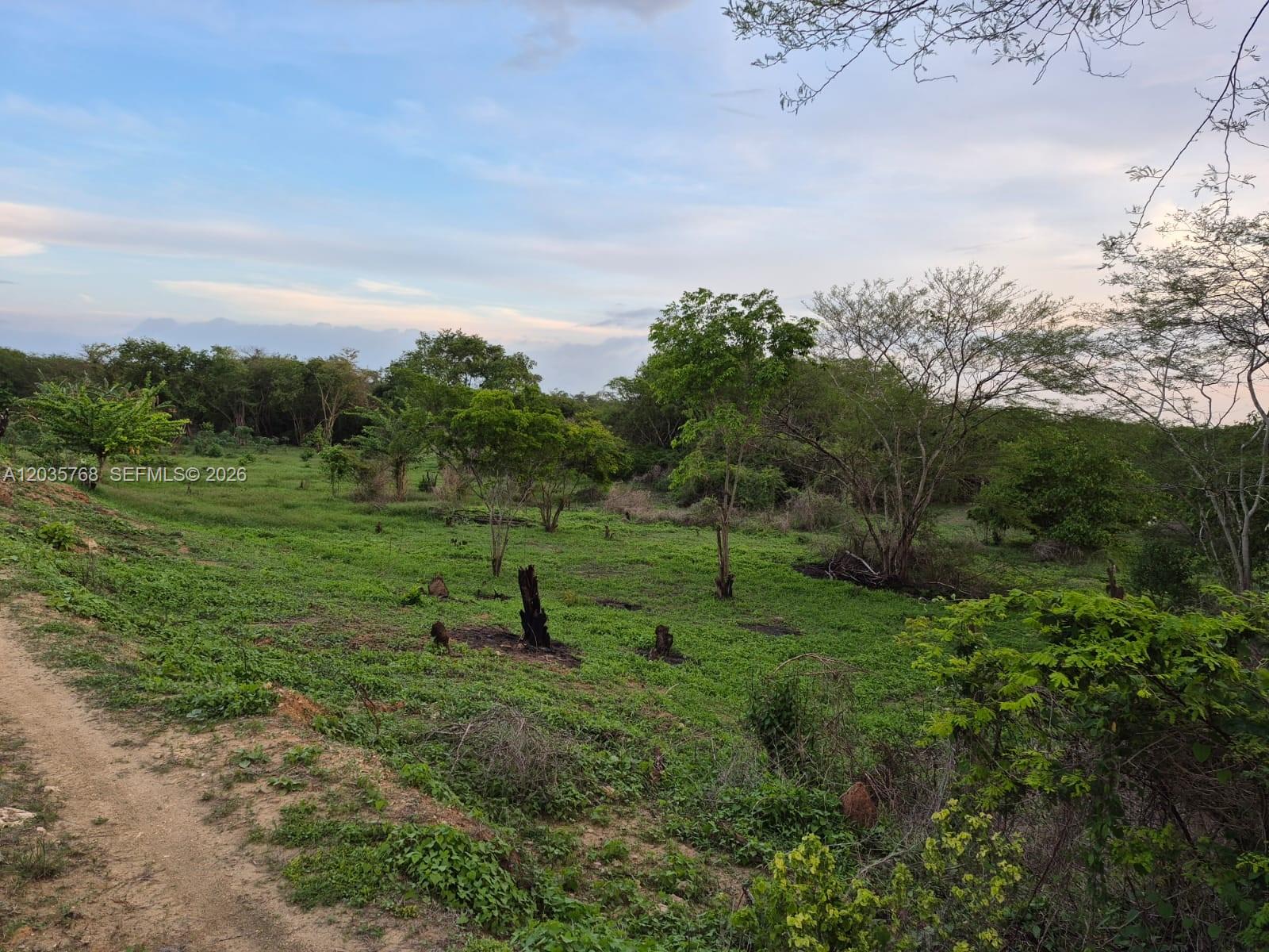 A dirt path leads through a grassy, partially wooded lot under a cloudy sky — Isla Baru Santa Ana, CO, CO
