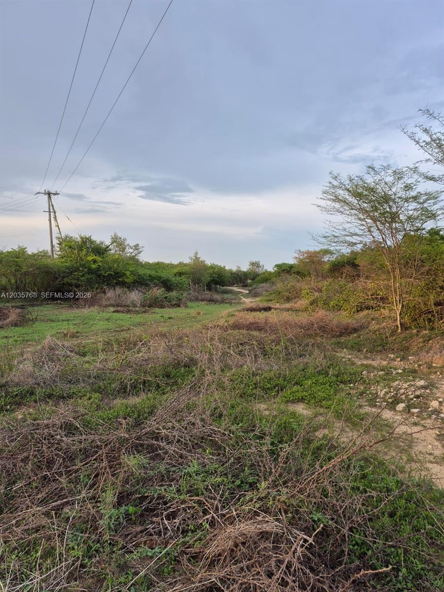 An undeveloped, grassy lot features scattered brush, trees, and overhead power lines under a cloudy sky — Isla Baru Santa Ana, CO, CO