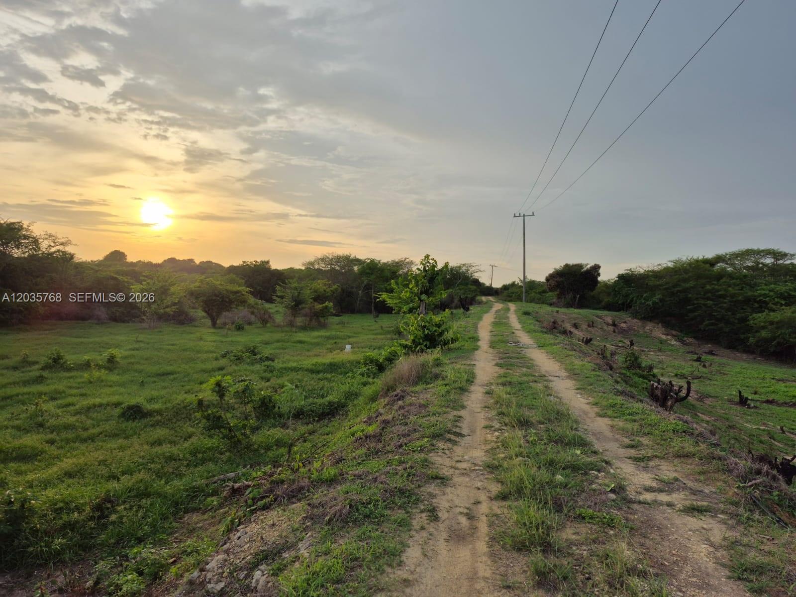 A dirt path runs through a grassy field toward the horizon under a sunset sky — Isla Baru Santa Ana, CO, CO