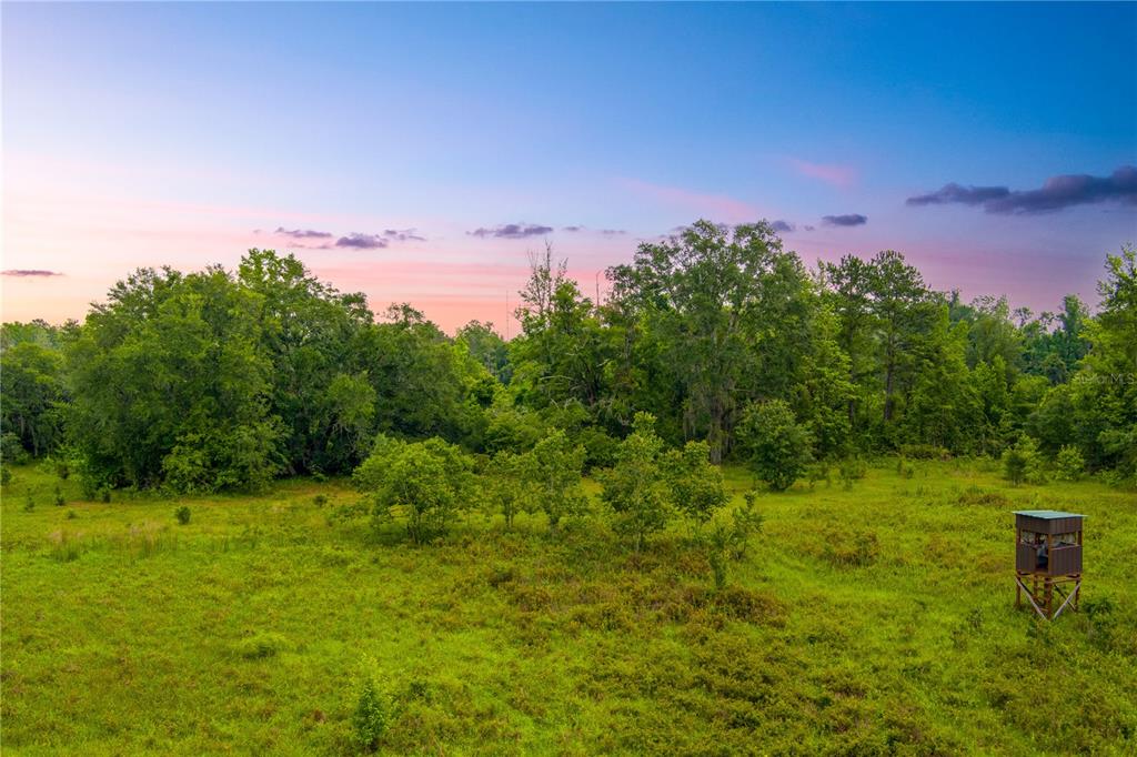 A hunting blind stands in a grassy field in front of a large, dense tree line — NW COLIN COURT, LAKE CITY, FL
