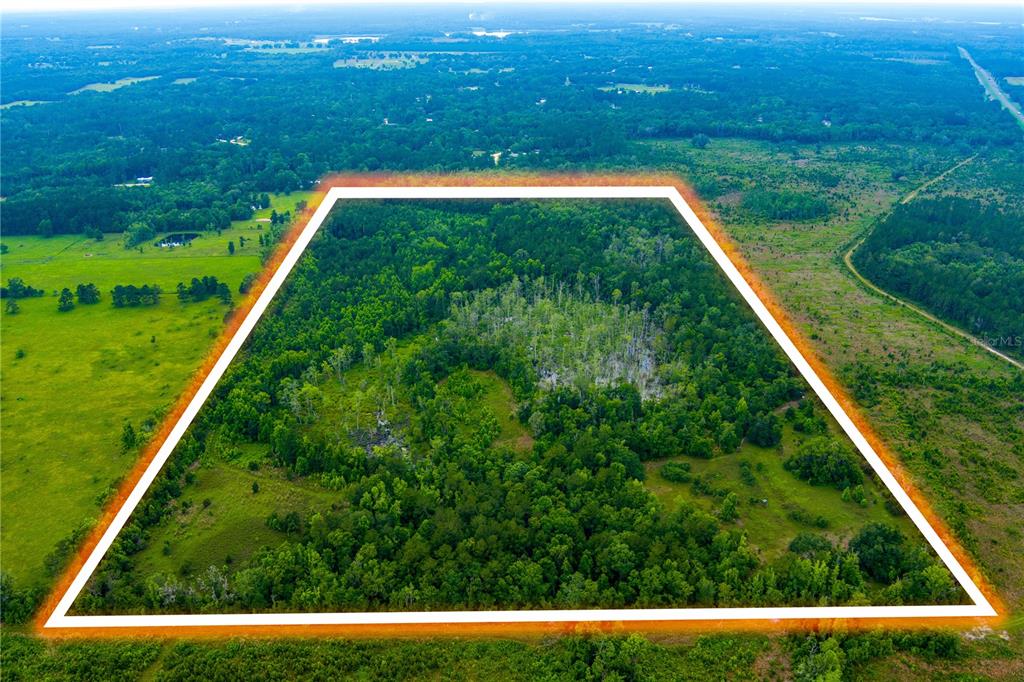 An elevated deer stand sits in a grassy field bordered by a dense forest at sunset — NW COLIN COURT, LAKE CITY, FL