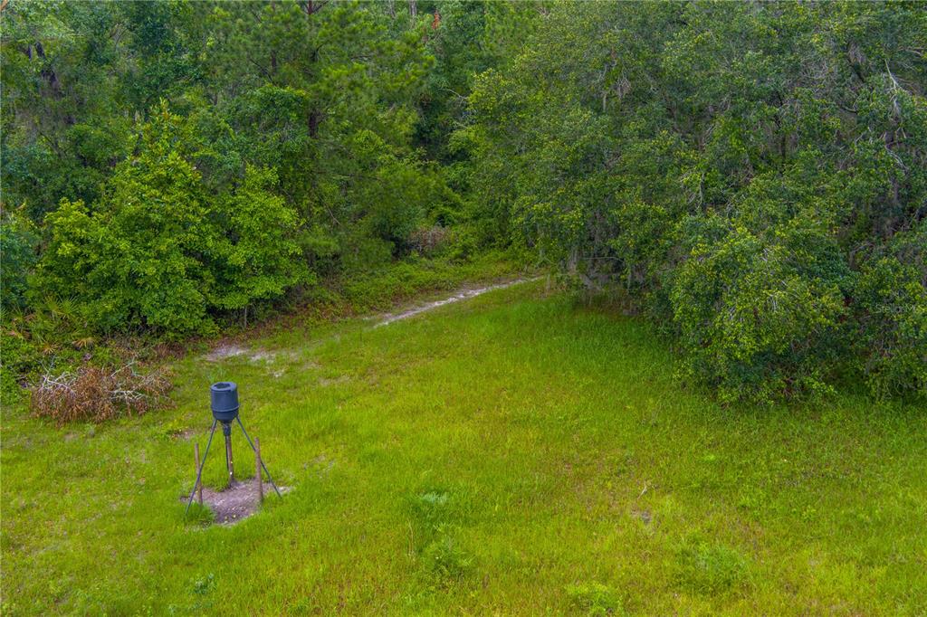 An aerial view shows a grassy clearing with a deer feeder near a wooded area — NW COLIN COURT, LAKE CITY, FL