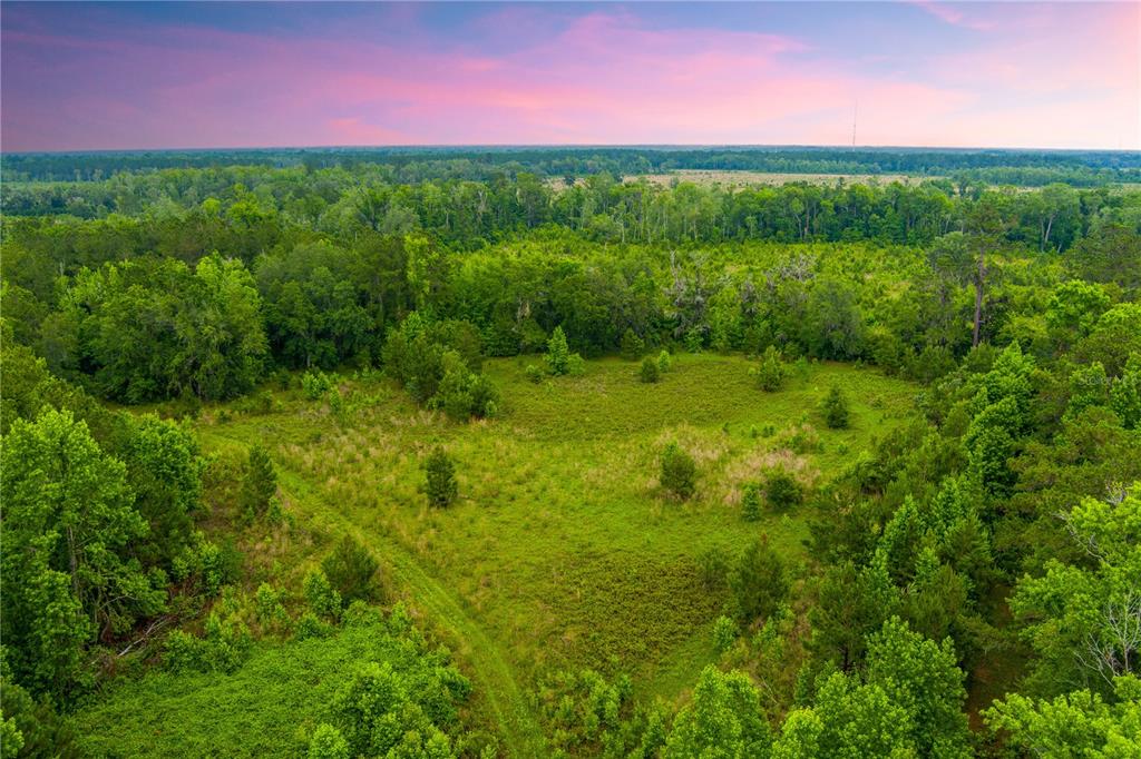 An aerial view shows a grassy clearing surrounded by dense forest under a sunset sky — NW COLIN COURT, LAKE CITY, FL