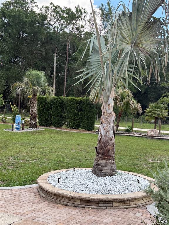 A palm tree sits in a raised stone planter bed on a brick patio — 2485 SE 174TH PLACE, SUMMERFIELD, FL