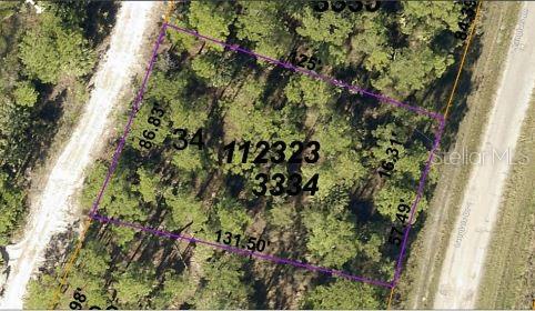 This is an aerial map showing the property boundaries of a wooded lot — LANGLAIS DRIVE, NORTH PORT, FL