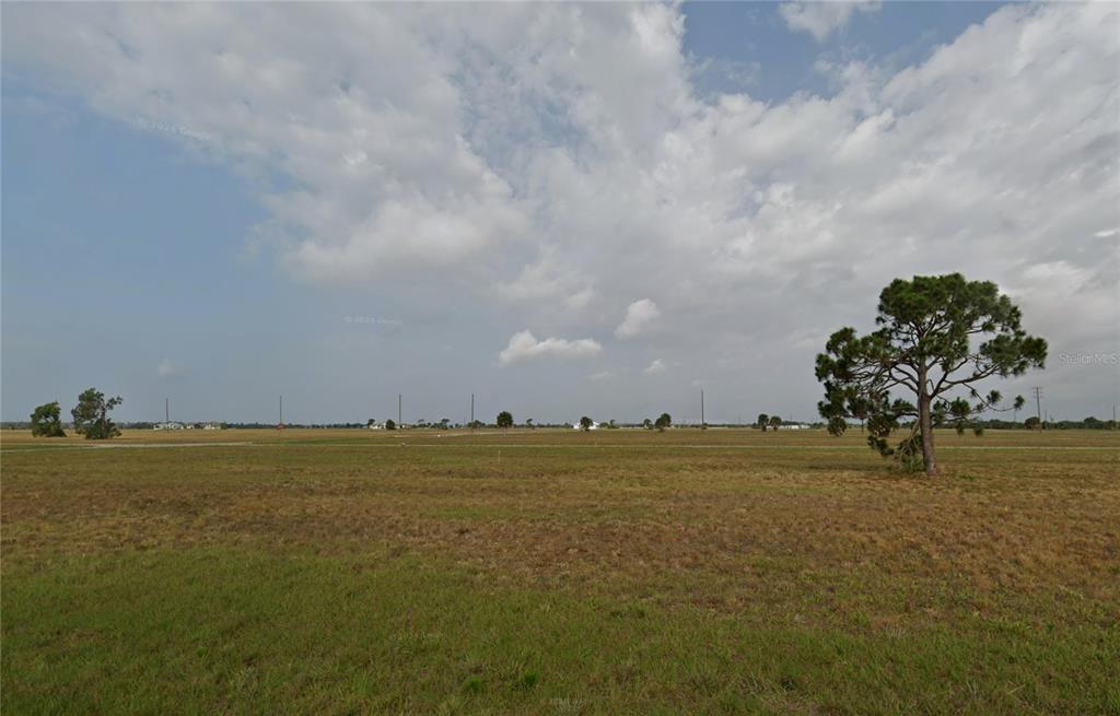 A wide, flat, grassy field under a cloudy sky with a single prominent pine tree — 23 CHINABERRY WAY, PLACIDA, FL