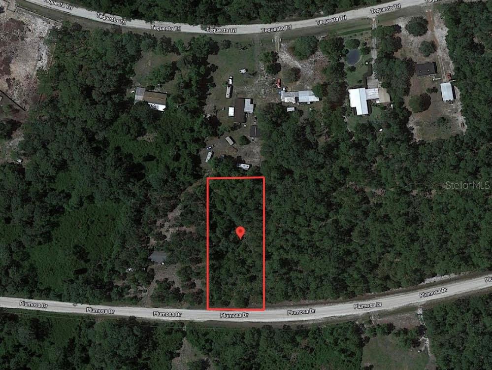 224 PLUMOSA DRIVE, GEORGETOWN, FL — photo 2 of 6