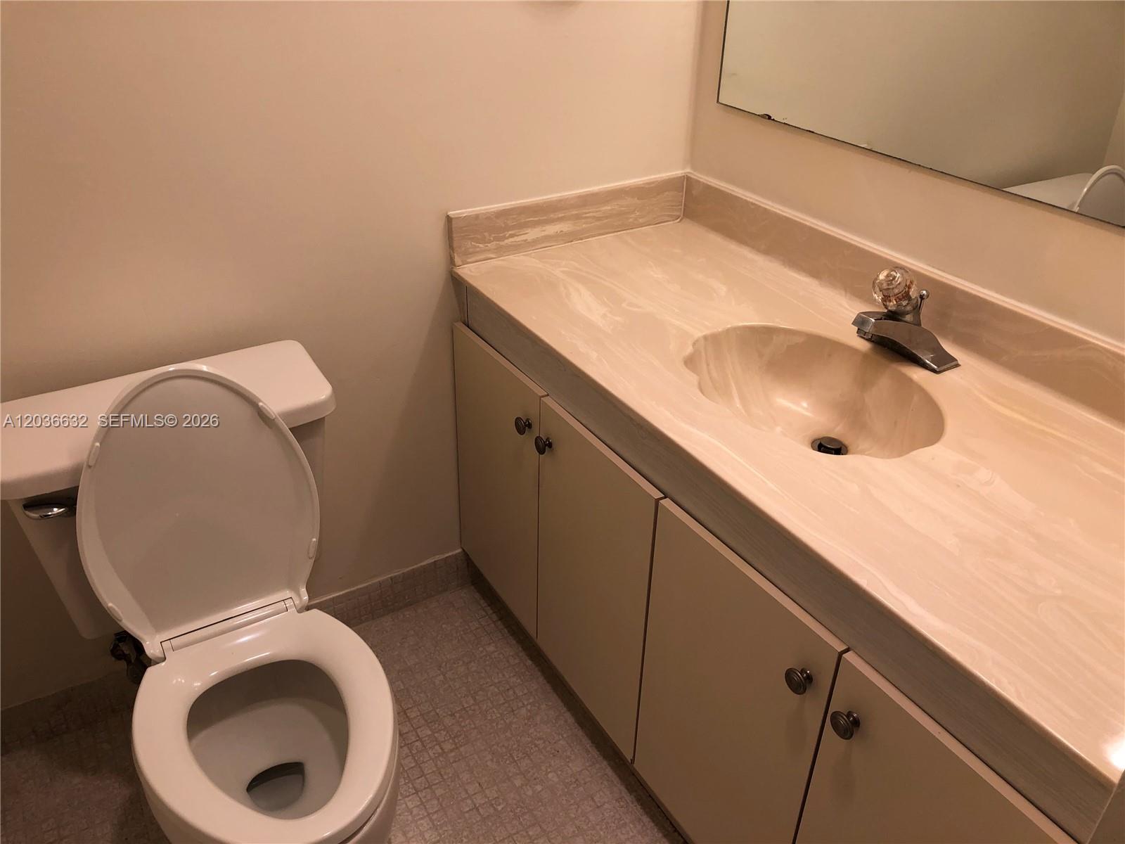 A bathroom features a beige vanity with a sink, a toilet, and a wall mirror — 10852 N Kendall Dr # 316, Miami FL 33176, MIAMI, FL