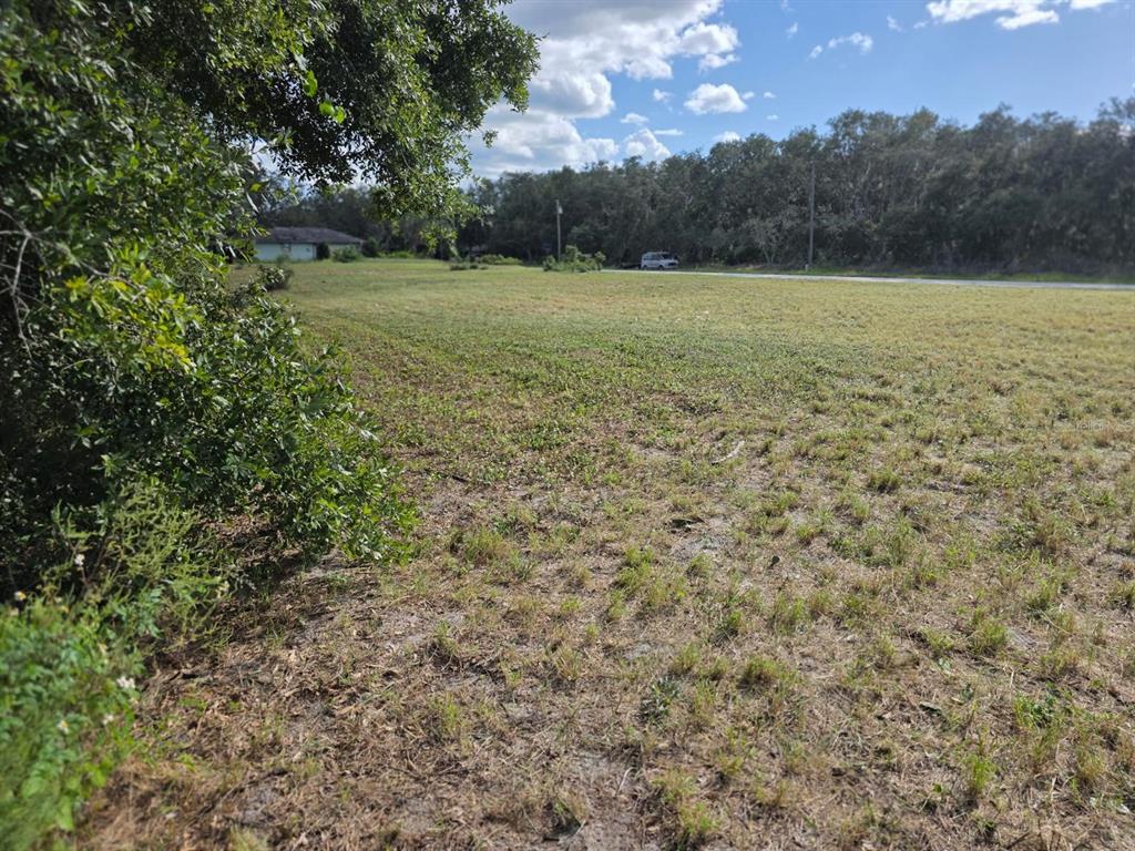 A large, grassy vacant lot is bordered by trees and a road in the distance — 470 N BARRIE ROAD, AVON PARK, FL