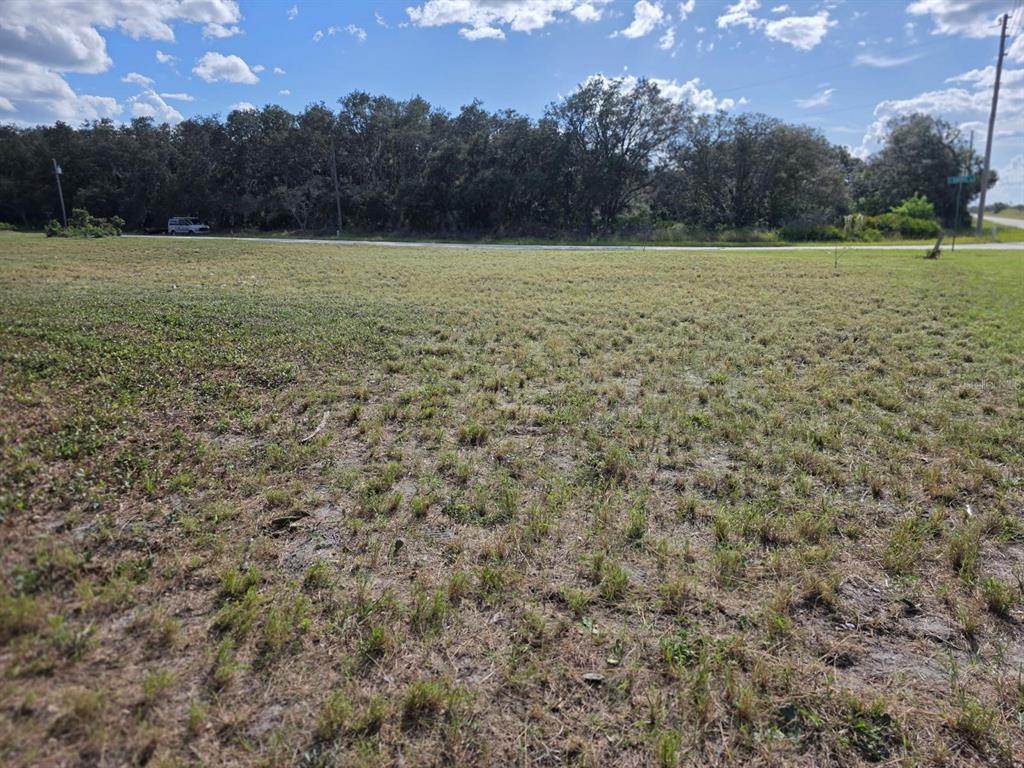 A grassy, vacant lot sits in front of a line of trees under a blue sky — 470 N BARRIE ROAD, AVON PARK, FL