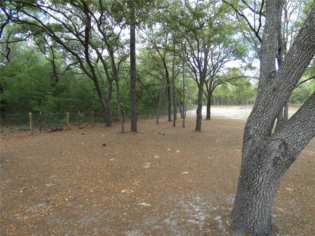A wooded lot features a wire fence and a large, textured tree in the foreground — 20865 SW 70TH STREET, DUNNELLON, FL
