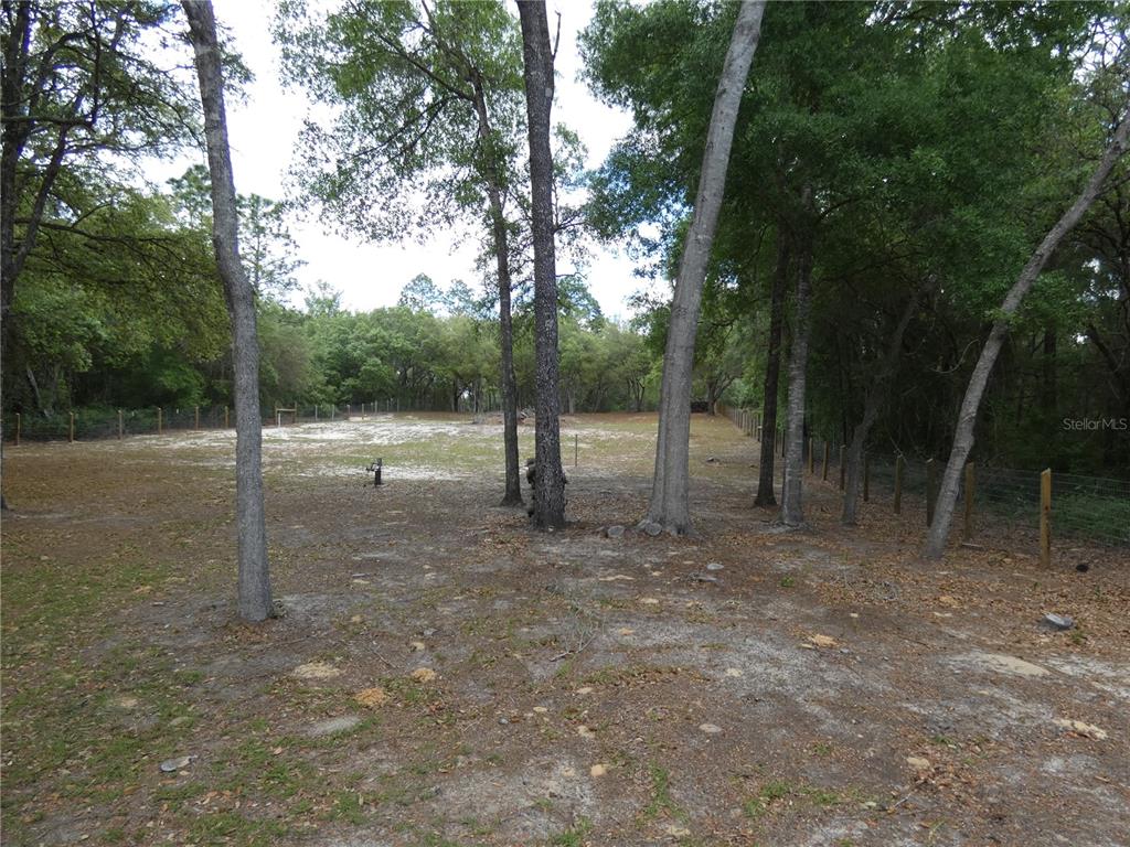 A fenced, sandy clearing is surrounded by mature trees in a wooded residential lot — 20865 SW 70TH STREET, DUNNELLON, FL