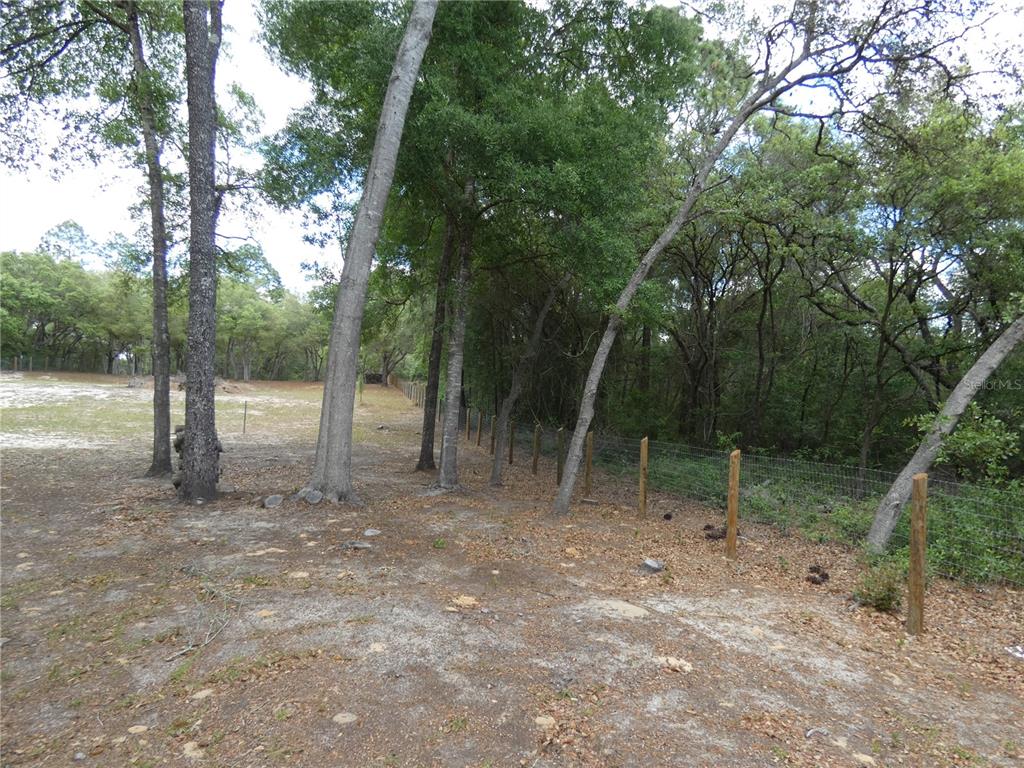 A wire fence runs along the edge of a sandy, wooded lot with mature trees — 20865 SW 70TH STREET, DUNNELLON, FL