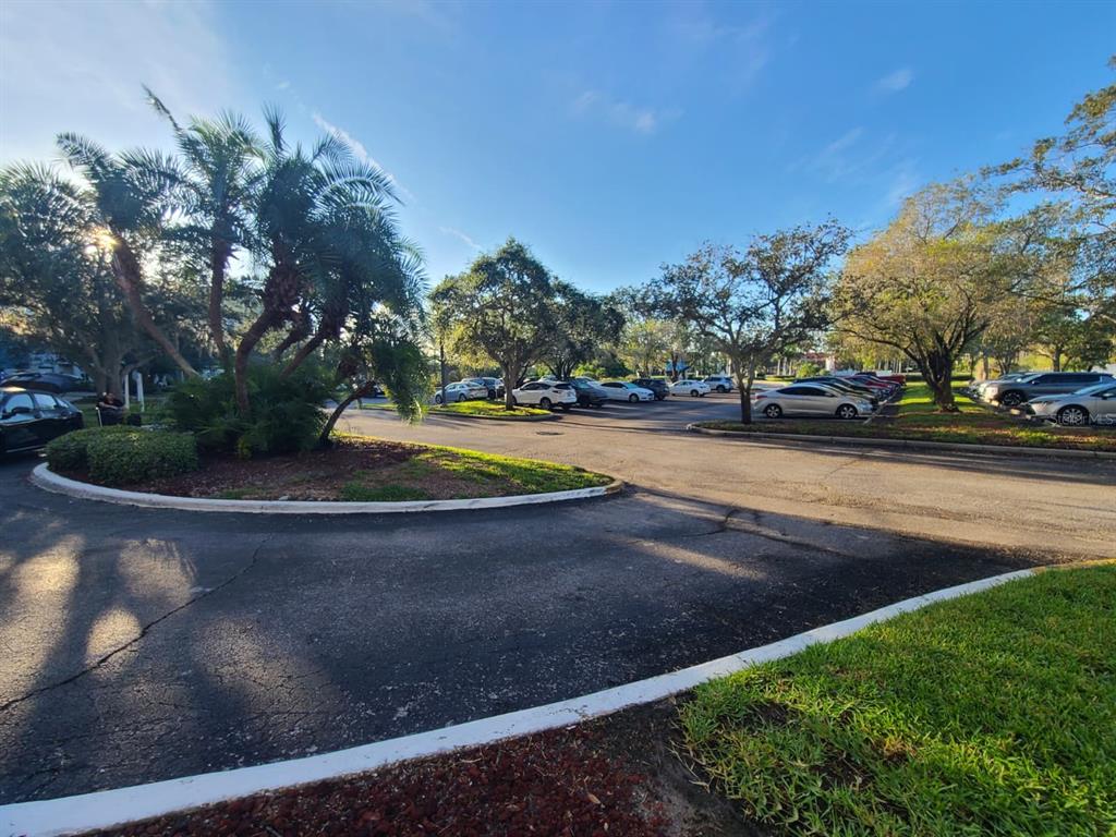 A paved parking lot with palm trees and surrounding landscaping under a clear blue sky — 2333 FEATHER SOUND DRIVE UNIT A208, CLEARWATER, FL