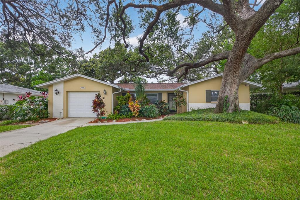 2036 FOREST DRIVE