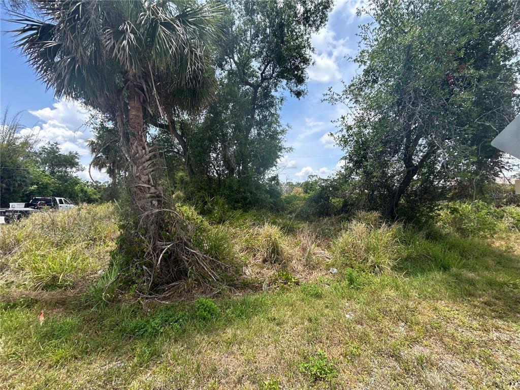A vacant, overgrown lot features a prominent palm tree and dense vegetation under a cloudy sky — 17232 WALDRUN AVENUE, PORT CHARLOTTE, FL