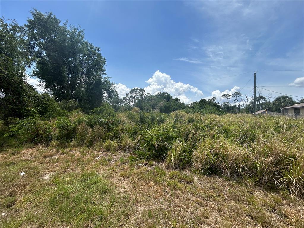 A vacant, overgrown lot with tall grass and trees under a bright blue sky — 17232 WALDRUN AVENUE, PORT CHARLOTTE, FL