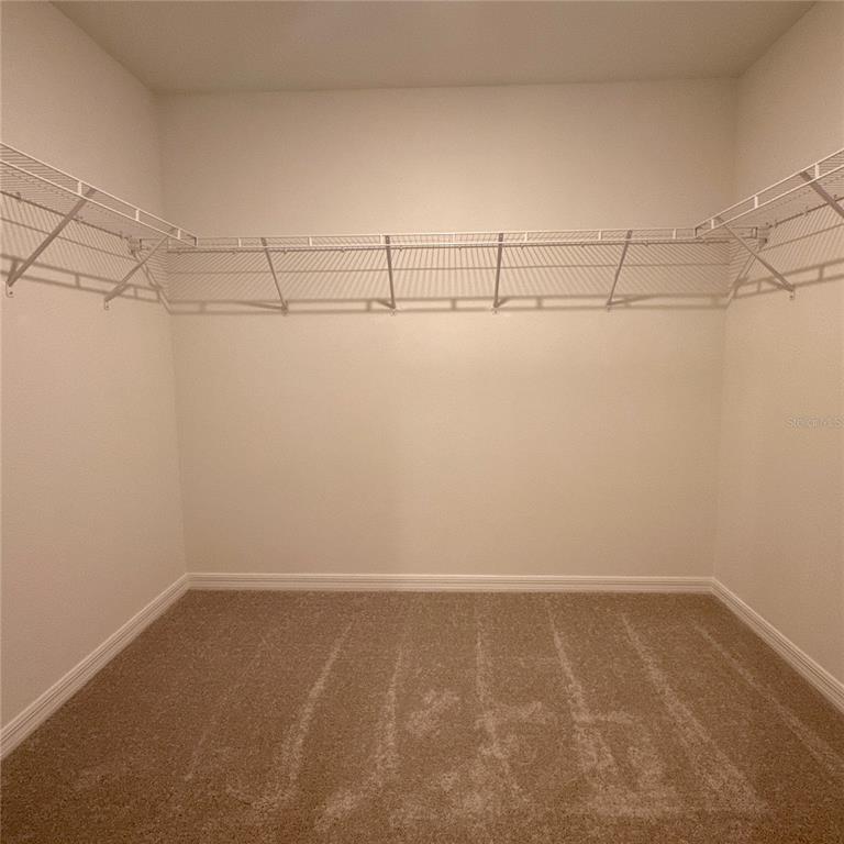 A walk-in closet with beige carpet and white wire shelving mounted on three walls — 869 HOUR GLASS RD, LAKELAND, FL