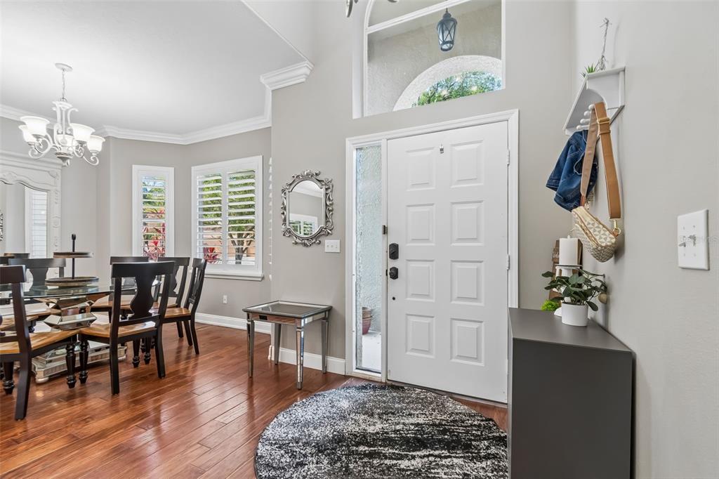 An entryway with hardwood floors leads into a dining room featuring a chandelier and shutters — 12507 ASHDOWN DRIVE, ODESSA, FL