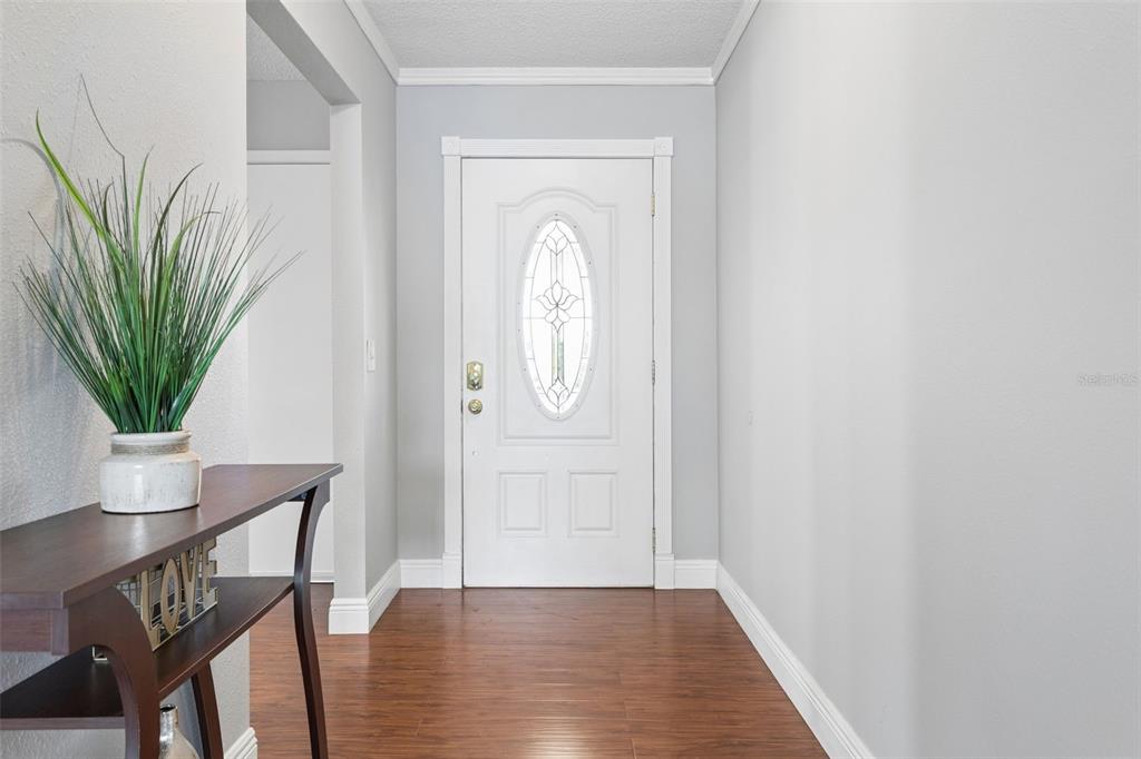 An entryway features a white front door with a glass insert, wood flooring, and console table — 16117 PEBBLEBROOK DRIVE, TAMPA, FL
