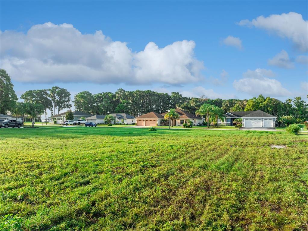 A large, grassy vacant lot sits in front of several suburban houses under a blue sky — 12045 EAGLE POINT COURT, LEESBURG, FL