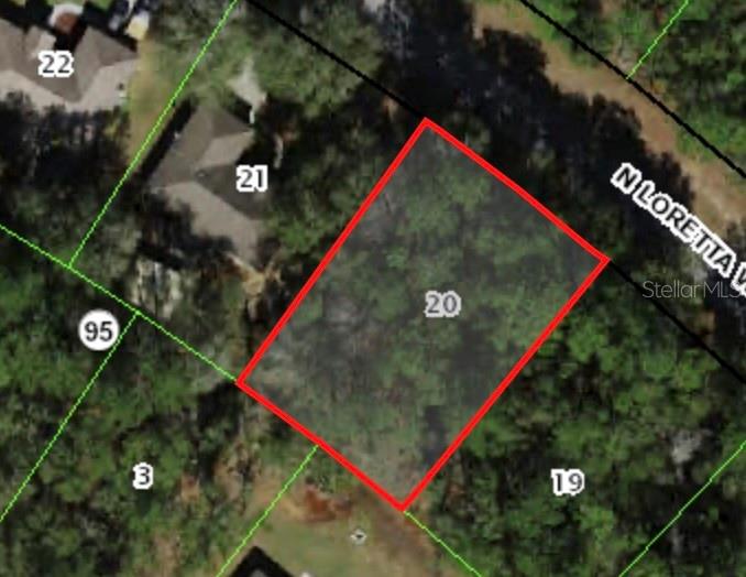 This is an aerial map view showing a vacant, wooded residential lot outlined in red — 9772 N LORETTA WAY, CITRUS SPRINGS, FL