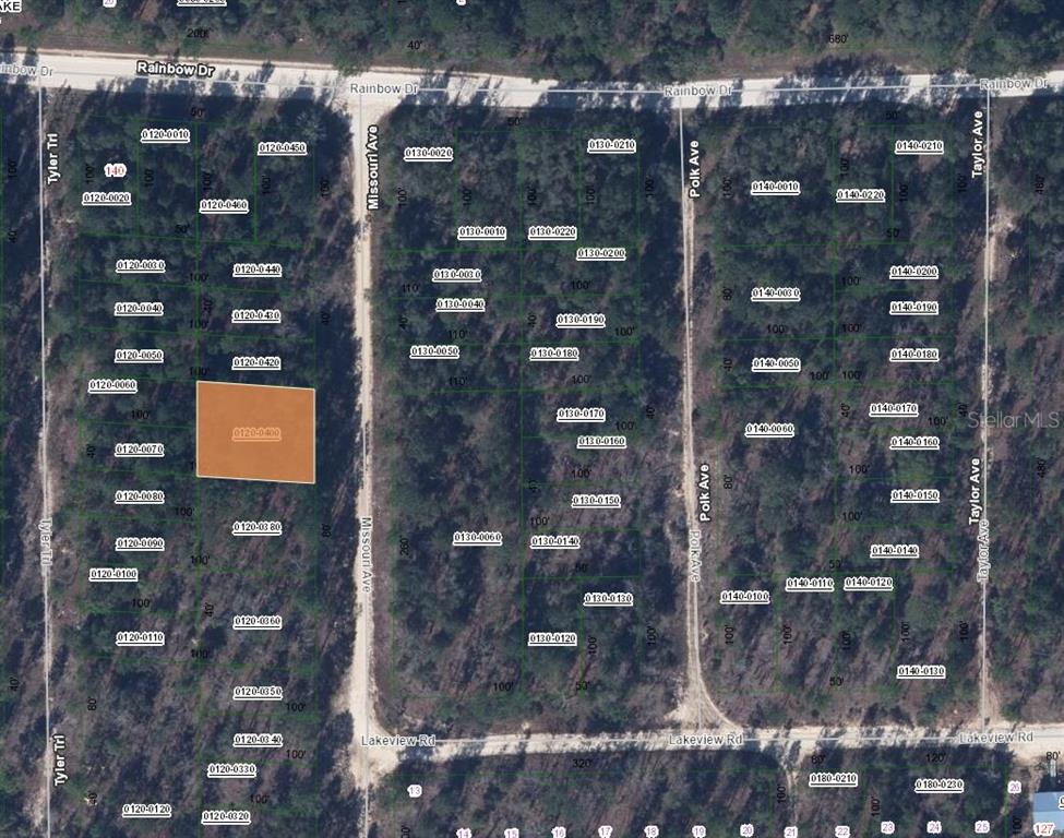 This is a property tax map showing parcel boundaries overlaid on an aerial view — 207 MISSOURI AVENUE, HAWTHORNE, FL